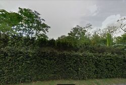 Cluny Road (D10), Detached #460731911